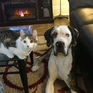 Meet your Posher, Clayton